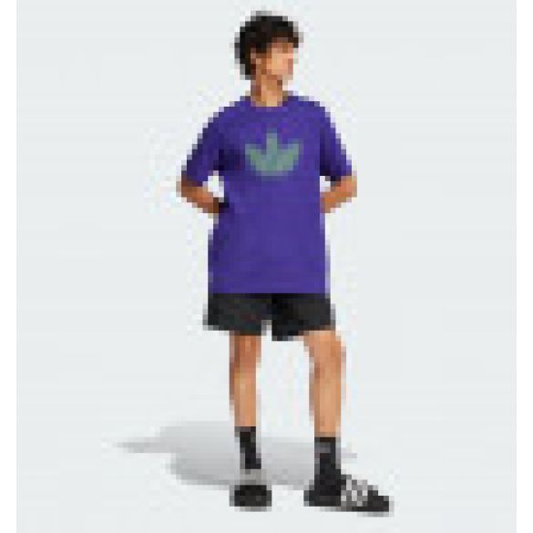 Чоловічі футболки Adidas Trefoil JJ0666_image_6