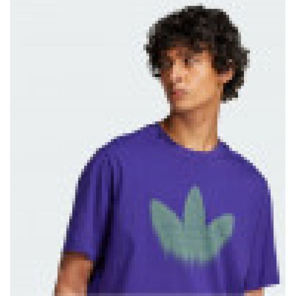 Чоловічі футболки Adidas Trefoil JJ0666_image_5