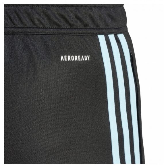 Штаны мужские Adidas Pants Tiro23 Cb Trpnt IL9549_image_3