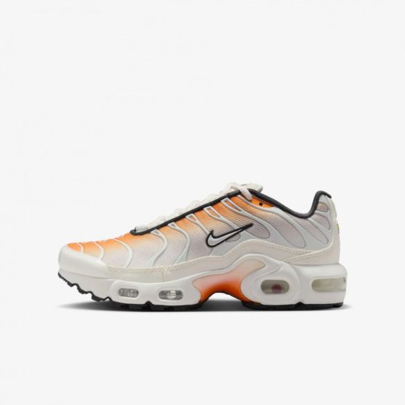 Кросівки Nike Air Max Plus CD0609-800_image_2