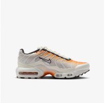 Кросівки Nike Air Max Plus CD0609-800_image_27