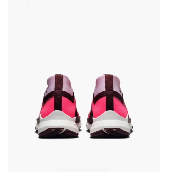 Кроссовки женские Nike Pegasus Trail 4 Gore-Tex Waterproof Trail FN7769-600_image_4