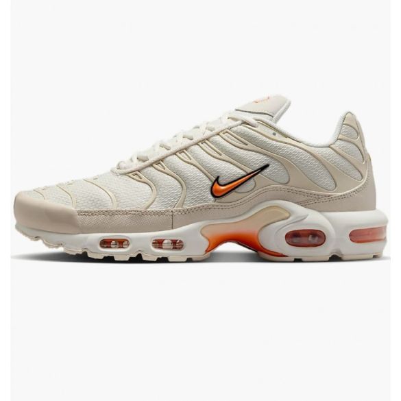 Кросівки чоловічі Nike Air Max Plus DM0032-019_image_2