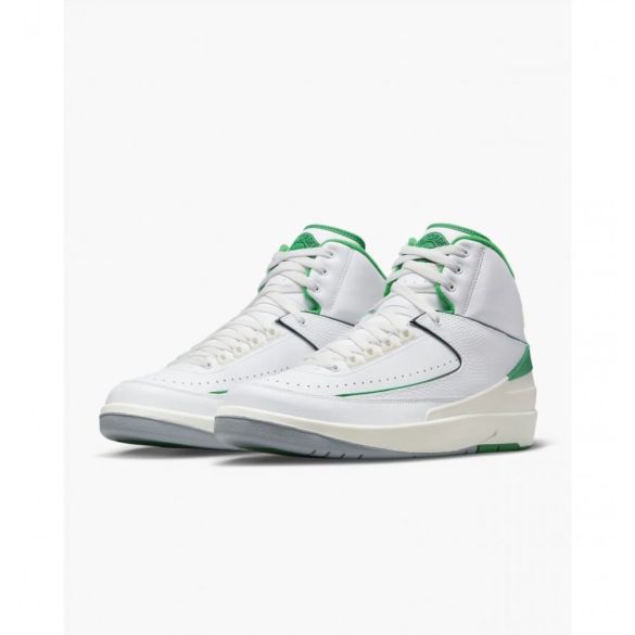 Кросівки чоловічі Air Jordan 2  DR8884-103_image_4
