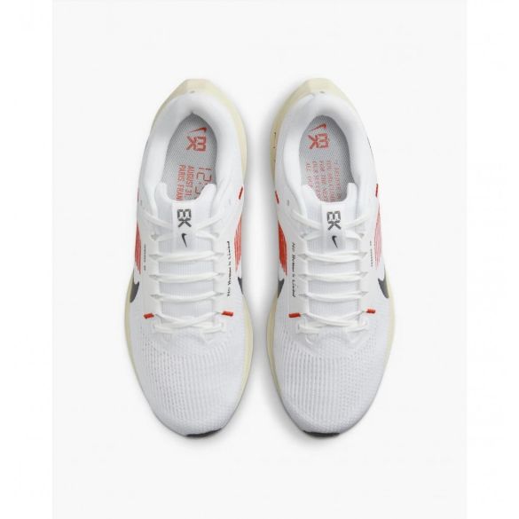 Кросівки Nike Pegasus 40 EK FJ0686-100_image_8