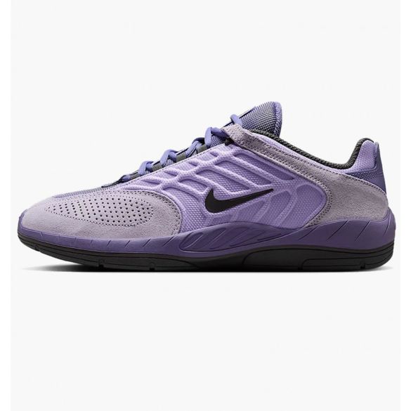 Кроссовки мужские Nike Sb Vertebrae FD4691-501_image_2