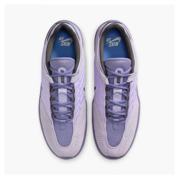 Кроссовки мужские Nike Sb Vertebrae FD4691-501_image_6