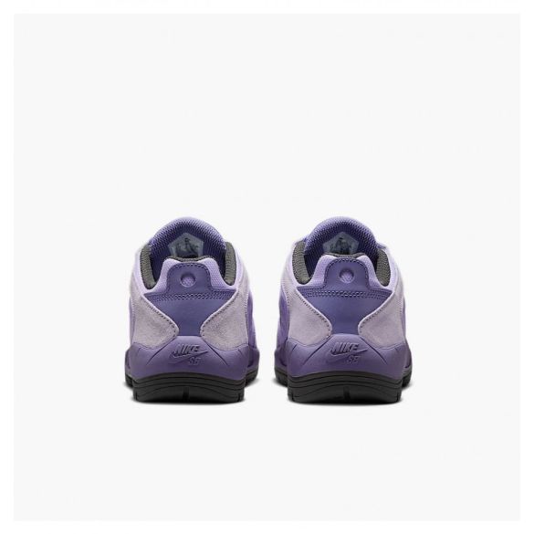 Кроссовки мужские Nike Sb Vertebrae FD4691-501_image_7