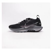 Кроссовки женские Nike Pegasus Trail 5 Gore-Tex FQ0912-001_image_6