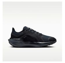 Жіночі кросівки Nike W Air ZM Pegasus 41 GTX FQ1357-001