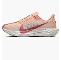 Кросівки жіночі Nike Pegasus Plus Road FQ7261-800_image_5