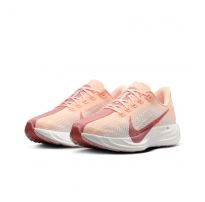 Кросівки жіночі Nike Pegasus Plus Road FQ7261-800_image_5