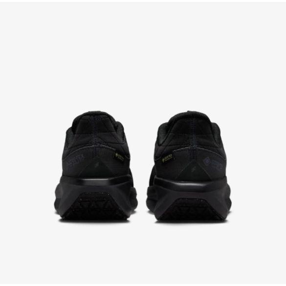 Женские кроссовки Nike W Air Winflo 11 Gtx FQ1359-001_image_5