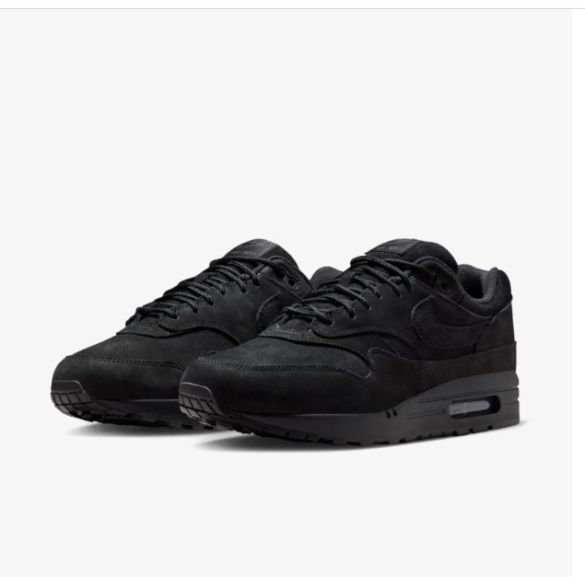 Кросівки чоловічі Nike Air Max 1 Prm HV8065-001_image_5