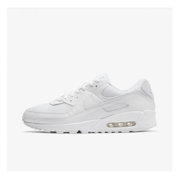 Кросівки NIKE AIR MAX 90 CN8490-100_image_2
