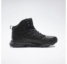 Жіночі черевики Reebok Arctic Sugar FV5406