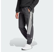 Спортивні штани Adidas Future Icons 3-Stripes Woven IN3318