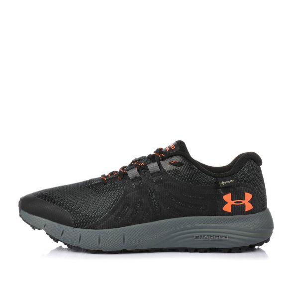 Чоловічі кросівки Under Armour Charged Bandit Trail GTX 3022784-006_image_2