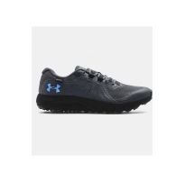 Чоловічі кросівки Under Armour Charged Bandit Trail GTX 3022784-100_image_36