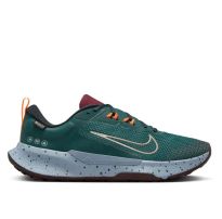 Чоловічі кросівки Nike Juniper Trail 2 GTX FB2067-300_image_14