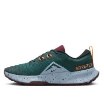 Чоловічі кросівки Nike Juniper Trail 2 GTX FB2067-300_image_14