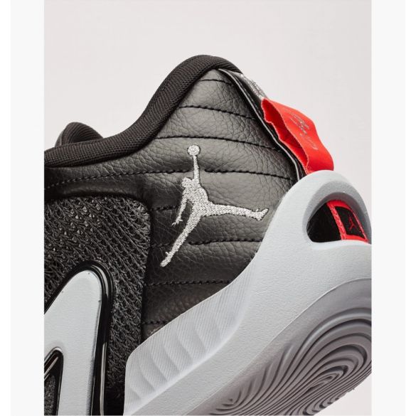 Кроссовки мужские Air Jordan Tatum 1 Old School  DZ3323-001_image_5
