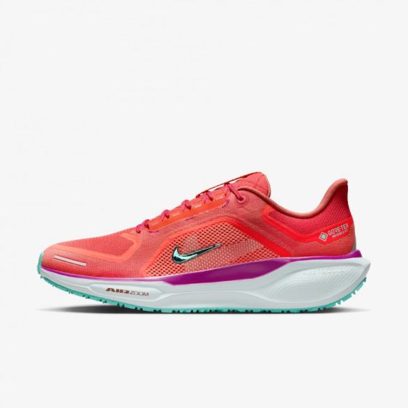 Чоловічі кросівки Nike Pegasus 41 Gore Tex HM8872-600_image_2