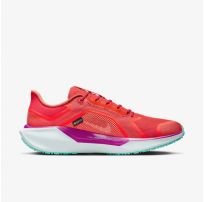 Мужские Кроссовки Nike Pegasus 41 Gore Tex HM8872-600_image_6