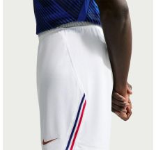 Чоловічі шорти NIKE FFF M NK DF SHORT STAD HM
