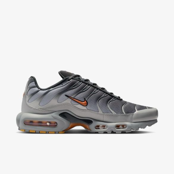 Мужские кроссовки NIKE AIR MAX PLUS_image_3