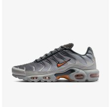 Чоловічі кросівки NIKE AIR MAX PLUS
