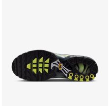 Чоловічі кросівки NIKE AIR MAX PLUS