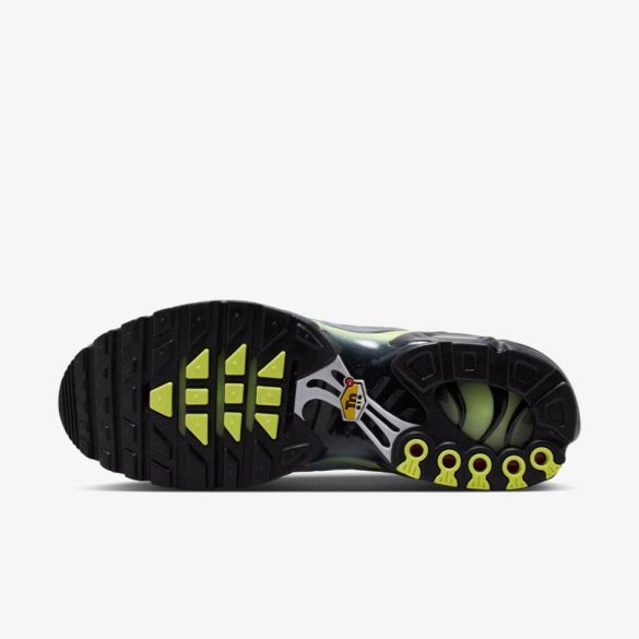 Чоловічі кросівки NIKE AIR MAX PLUS_image_2