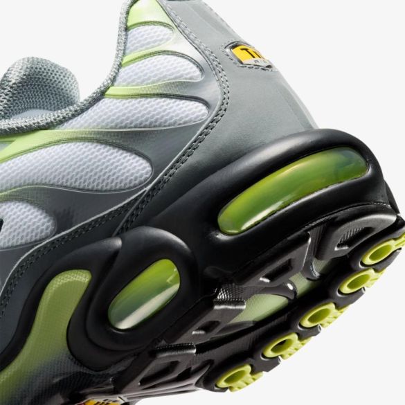 Чоловічі кросівки NIKE AIR MAX PLUS_image_8