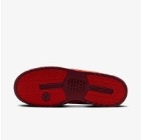 Мужские кроссовки NIKE PAUL RODRIGUEZ ZOOM AIR LOW QS_image_33