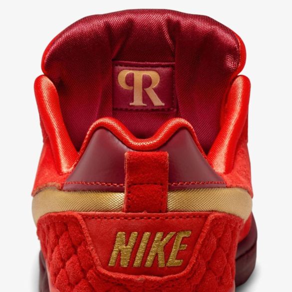 Чоловічі кросівки NIKE PAUL RODRIGUEZ ZOOM AIR LOW QS_image_10