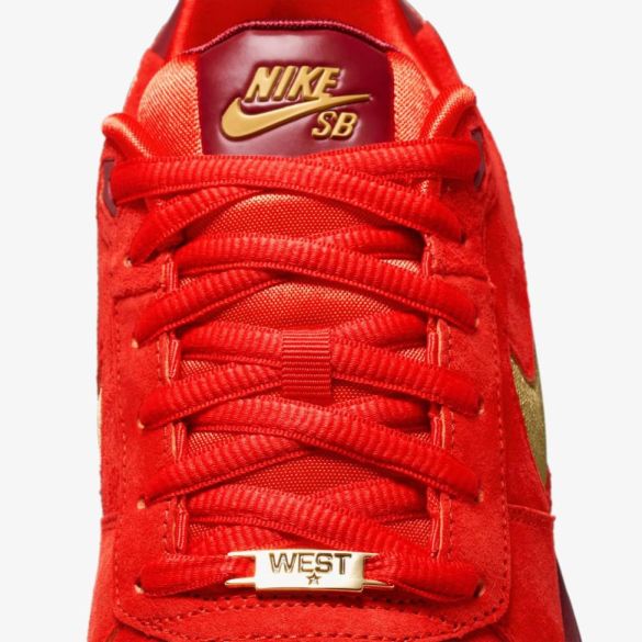 Чоловічі кросівки NIKE PAUL RODRIGUEZ ZOOM AIR LOW QS_image_9