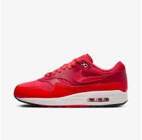 Чоловічі кросівки NIKE AIR MAX 1_image_8