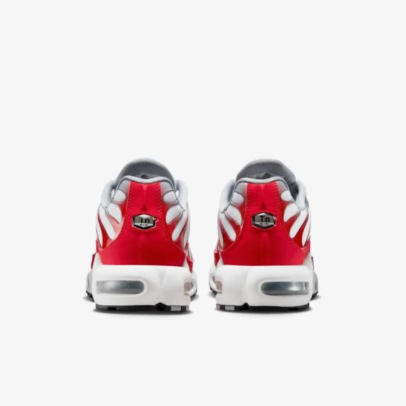 Мужские кроссовки NIKE AIR MAX PLUS RED / WHITE_image_6