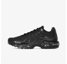 Чоловічі кросівки Nike AIR MAX PLUS