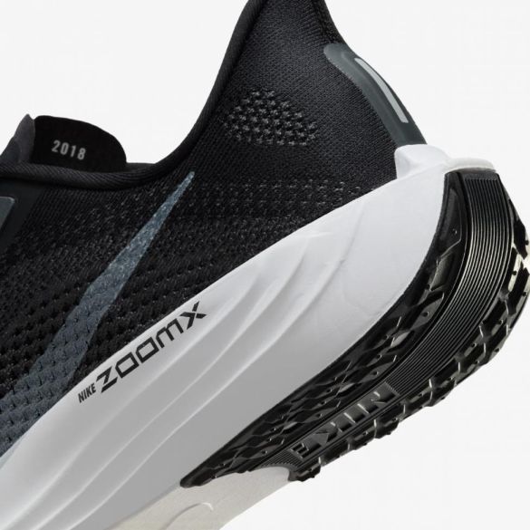Мужские кроссовки NIKE PEGASUS PLUS_image_8