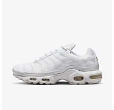Чоловічі кросівки Nike Air Max Plus AJ2029-100