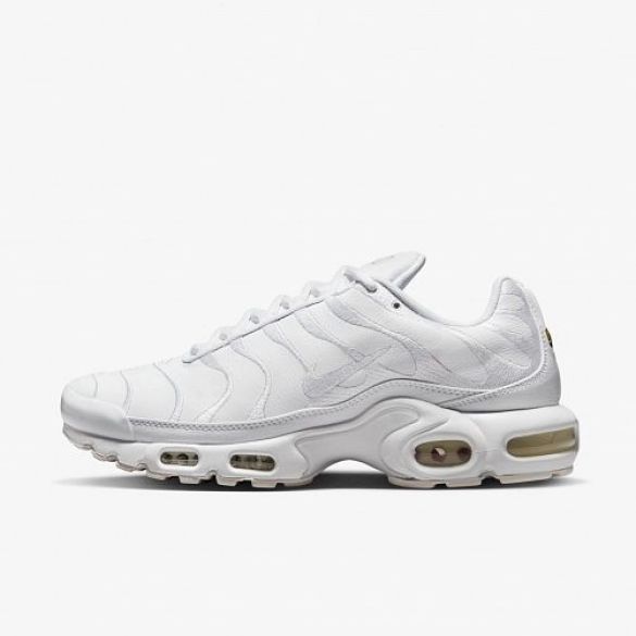 Чоловічі кросівки Nike Air Max Plus AJ2029-100_image_2