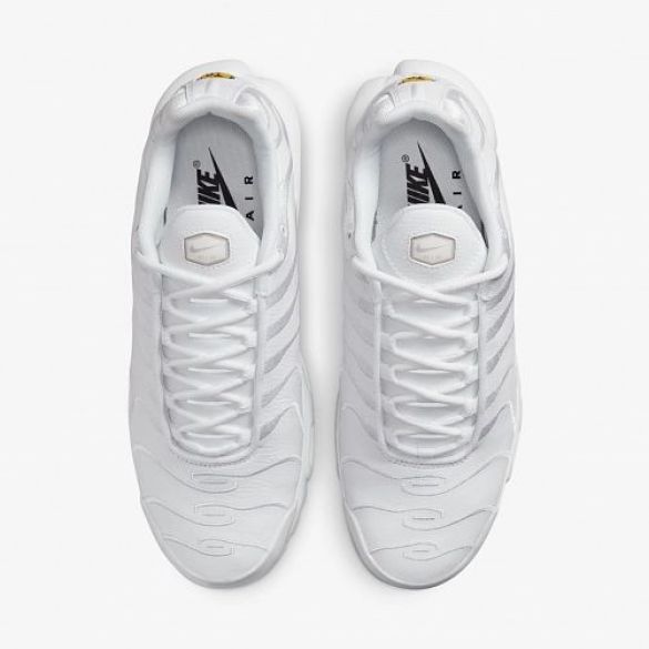 Чоловічі кросівки Nike Air Max Plus AJ2029-100_image_5