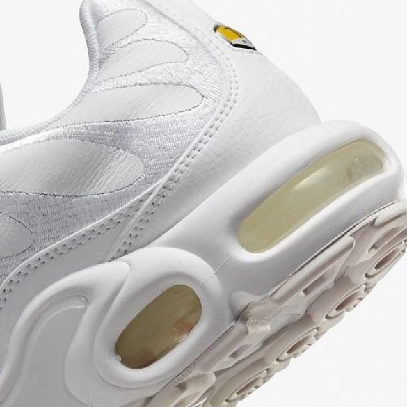 Чоловічі кросівки Nike Air Max Plus AJ2029-100_image_7