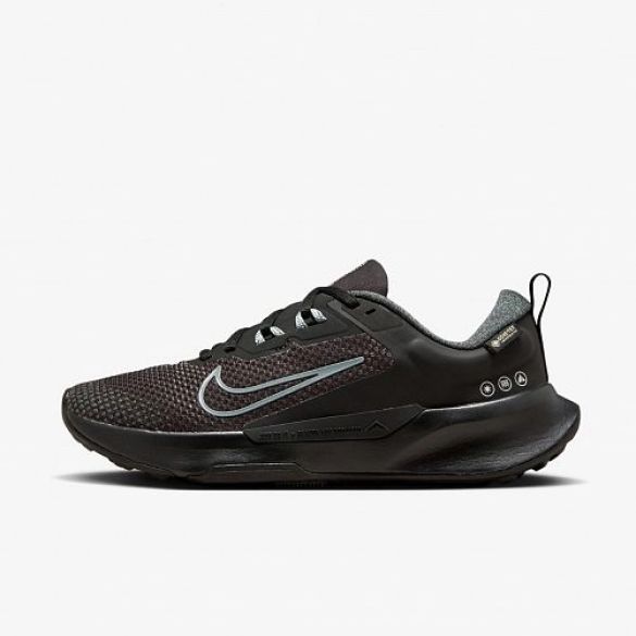 Кросівки Nike Wmns Juniper Trail 2 Gtx FB2065-001_image_2