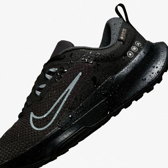 Кросівки Nike Wmns Juniper Trail 2 Gtx FB2065-001_image_4