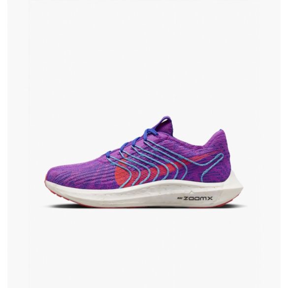 Кросівки NIKE W PEGASUS TURBO NEXT NATURE DM3414-500_image_2