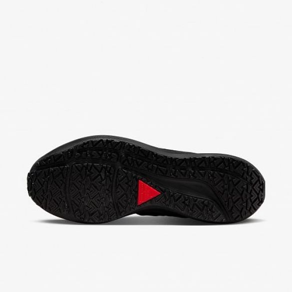 Кросівки Nike Air Zoom Pegasus 39 Shield Do7626-001_image_5