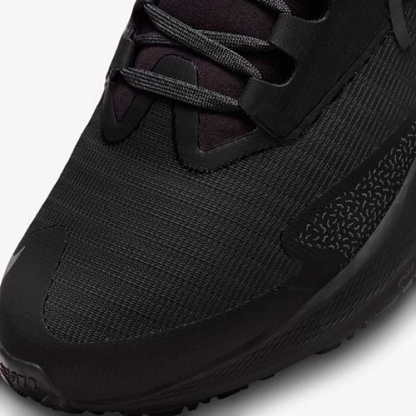 Кросівки Nike Air Zoom Pegasus 39 Shield Do7626-001_image_9